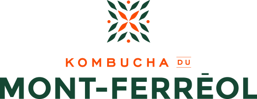 Kombucha du Mont-Ferréol